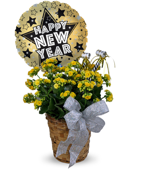 A Bright New Year Kalanchoe - With Balloon Included!