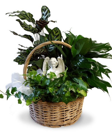 Handbasket filled with a variety of blooming and green plants