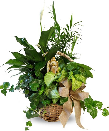 Handbasket filled with a variety of blooming and green plants