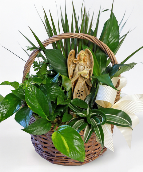 A wicker basket overflowing with green houseplants, including ivy, ferns, dieffenbachia, and peace lily. A white ceramic angel nestled among the foliage, adding a focal point.