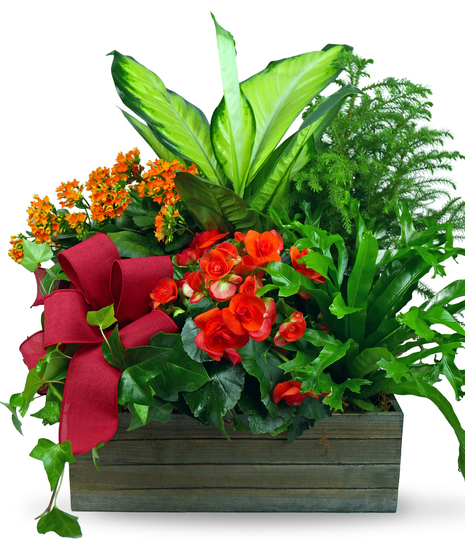 Seasonal Blooming Box