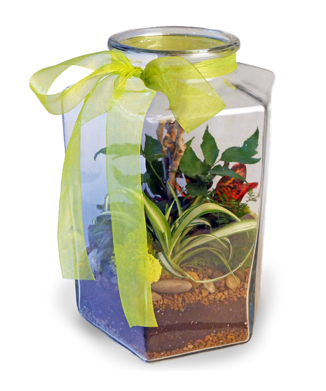 Terrarium Garden