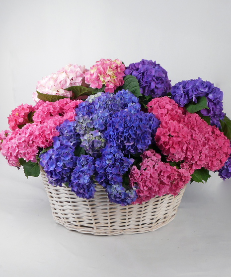 Mille Fleurs