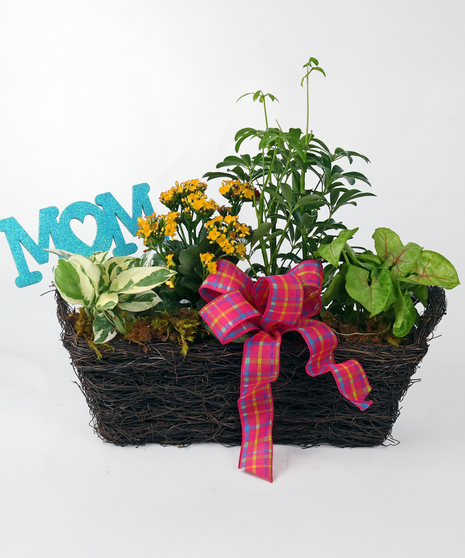 Image showcases a large European garden-style garden arranged in a rectangle grapevine basket including a mix of bright blooming plants and long-lasting green foliage plants