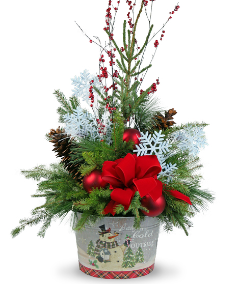 Urn Insert - In Upgraded Tin Container
