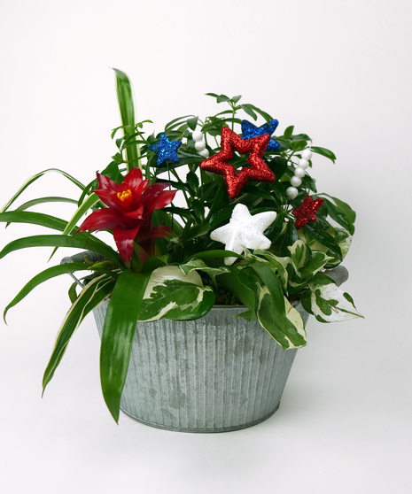 Patriotic Planters - Perfect for Hosting!
