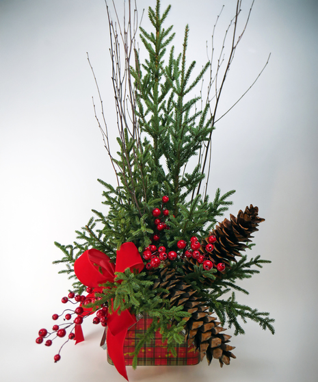 Plaid & Berries Holiday Pot