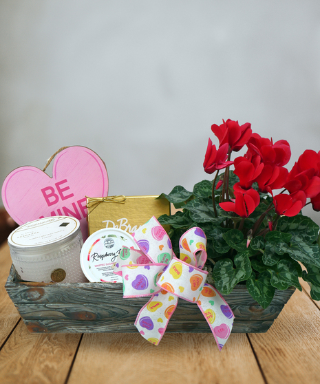 Plants & Goodies GiftBox