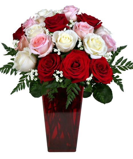 Forever Yours Assorted Roses | Same Day Indianapolis Florist