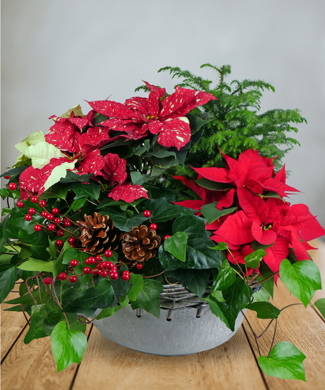 Festive Holiday Bowl