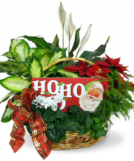 Santa's Favorite Garden