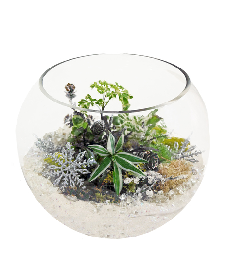 Snow Globe Terrarium
