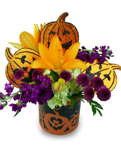 Pumpkin Patch