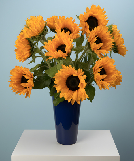 Summer Sunflower Sale  - For A Limited Time!