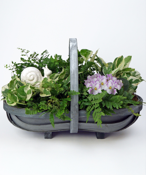 Sweet Summer Garden