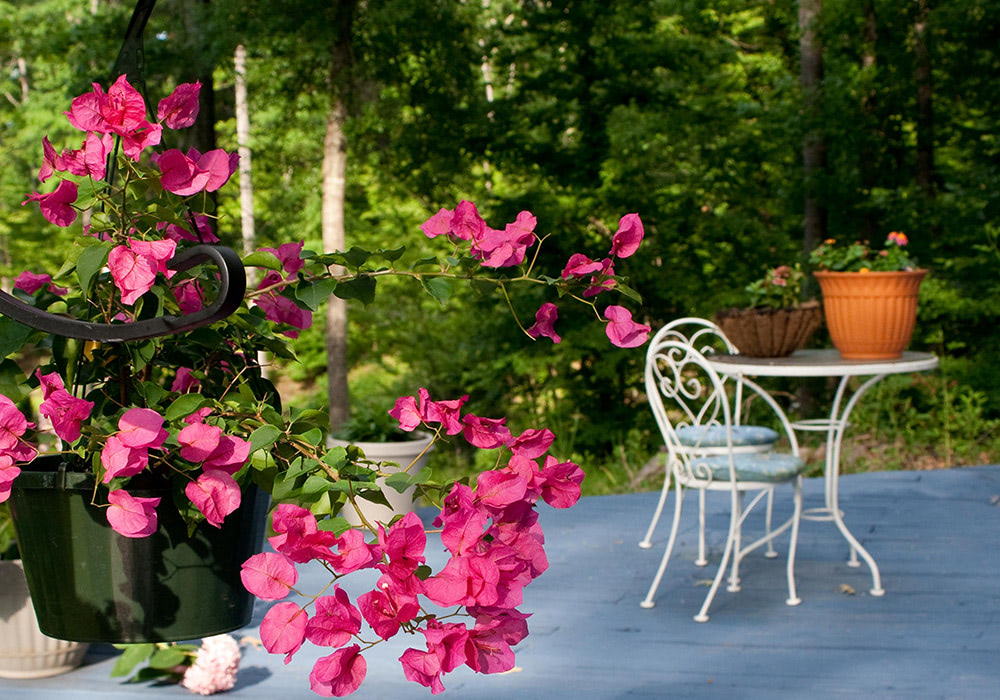 McNamara Florist InStore Sales & Events Indianapolis/Ft. Wayne